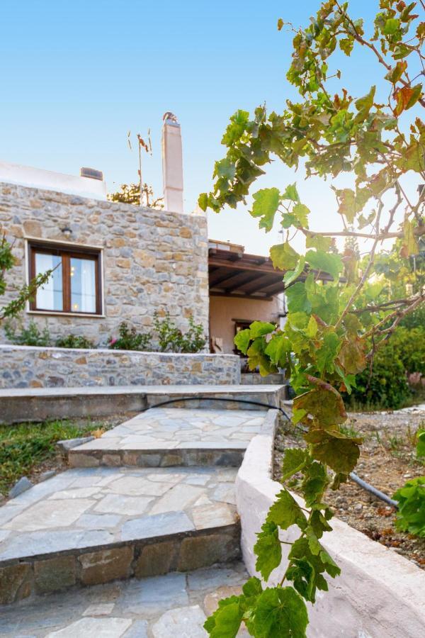 Villa Maria Stavrokhorion Exterior foto